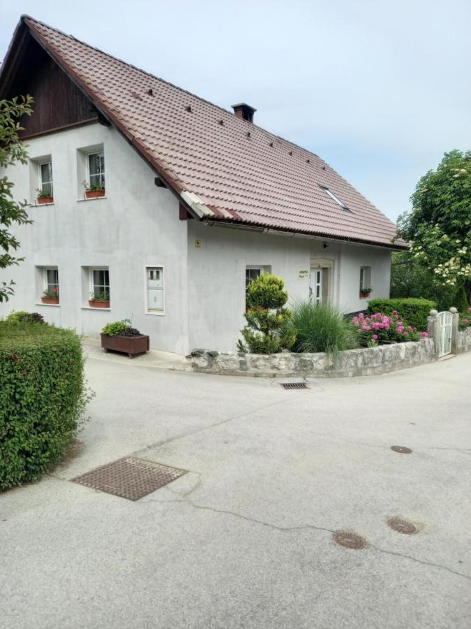 Apartmaji Magda Leilighet Zgornje Gorje Eksteriør bilde